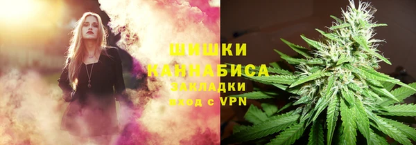 шишки Пролетарск