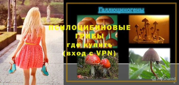 шишки Пролетарск