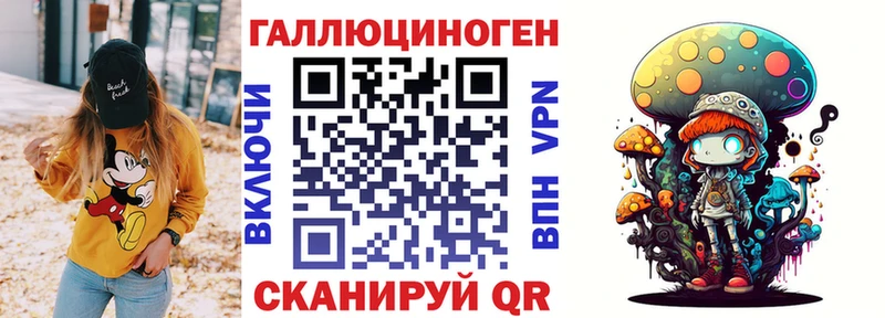 даркнет сайт  Снежинск  гидра вход  Псилоцибиновые грибы Psilocybe 